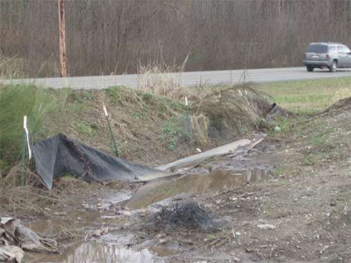 Tulalip Natural Resources Department stormwater gallery, image three