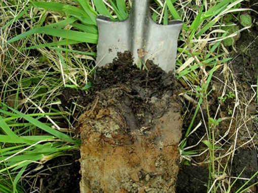 Tulalip Natural Resources Department wetlands gallery, image twenty six