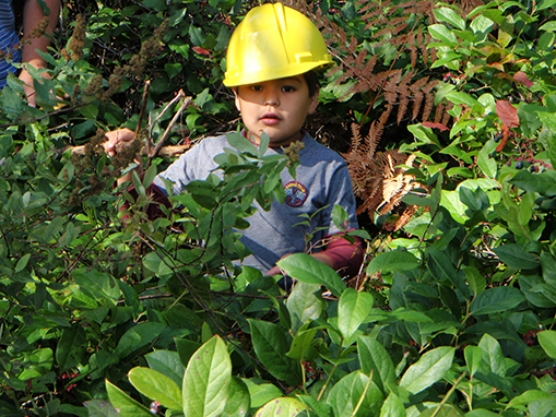 Tulalip Natural Resources Department wetlands gallery, image three