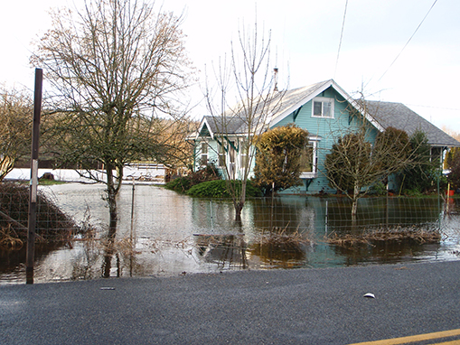 Tulalip Natural Resources Department wetlands gallery, image nine