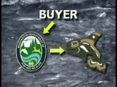 Treaty Indian Fisheries and Salmon Recovery
