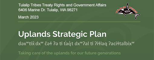 Natural Resources Tulalip Upland Strategic Plan. 