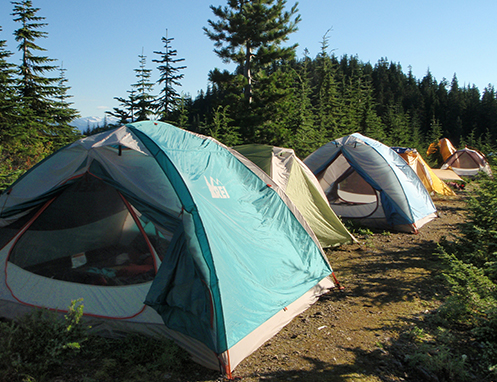 A row of tents set up for the night in a beautiful area in a mountainous area of nature