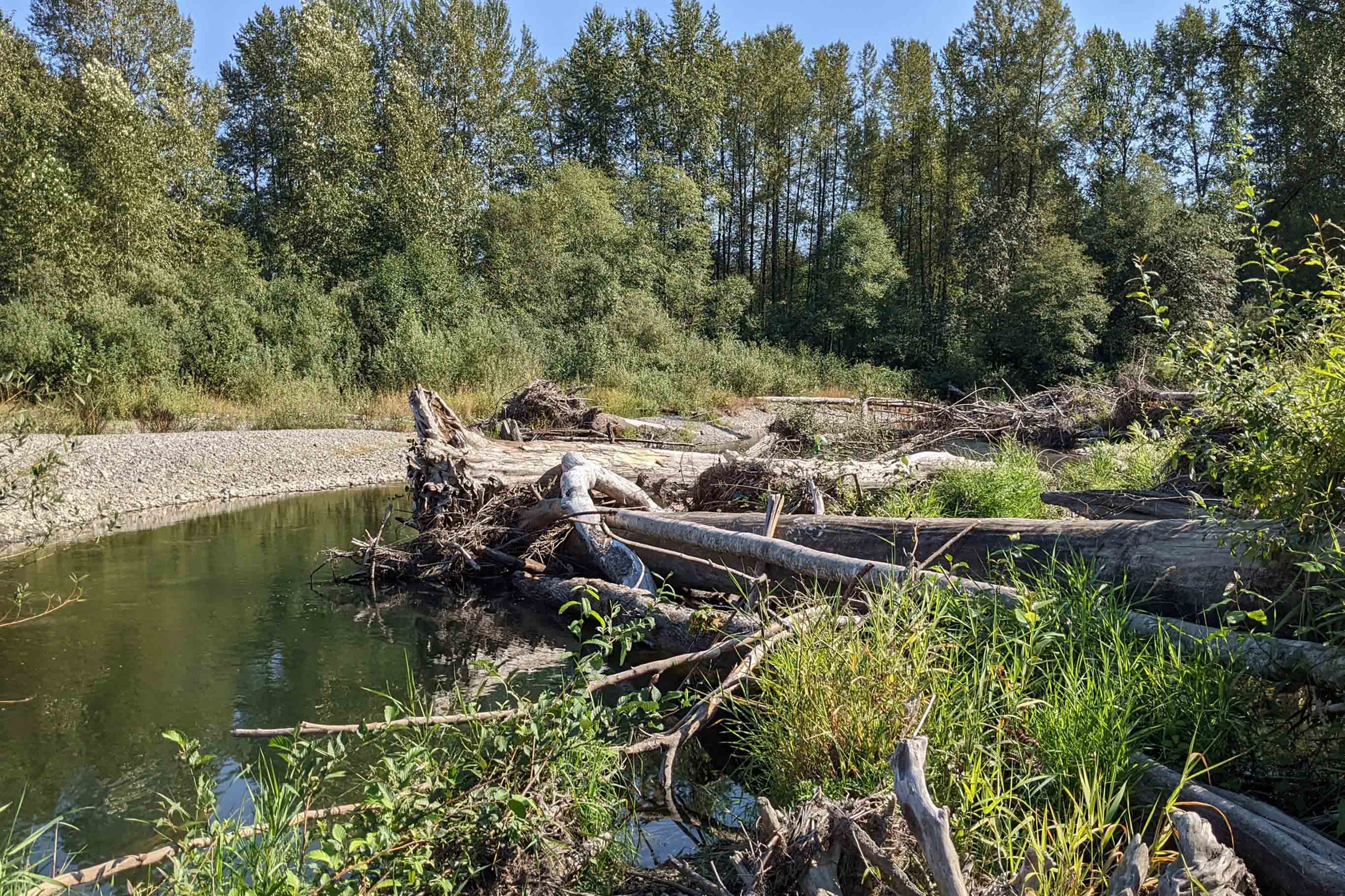 Tulalip Tribes Natural Resources Lochsloy project pond slider image