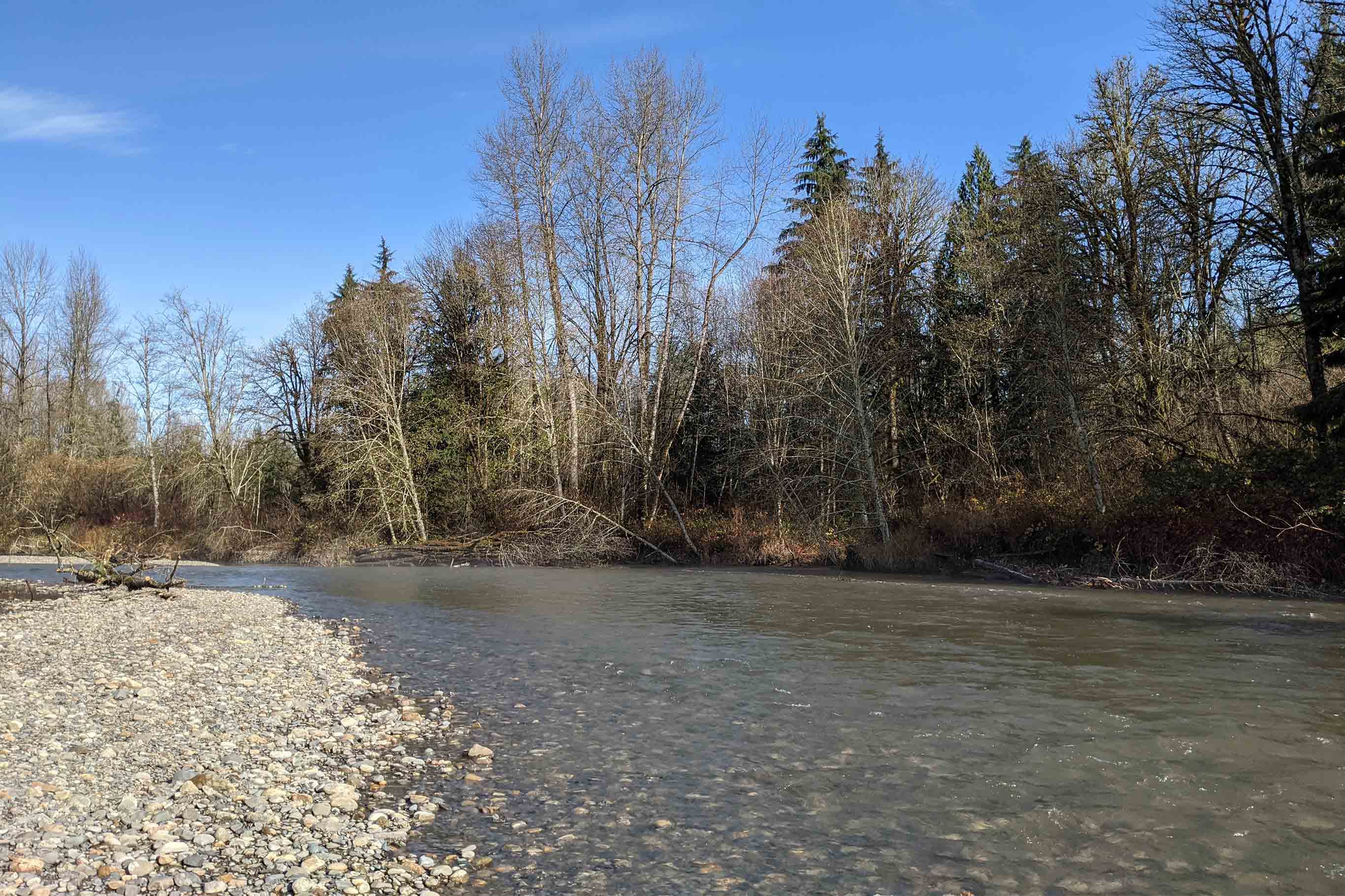 Tulalip Tribes Natural Resources Lochsloy project Pilchuck River Lower slider image