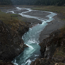 As Puget Sound orcas dwindle, dam removal pressure grows