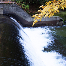 Pilchuck Dam Removal to Restore Fish Access to Pristine Habitat