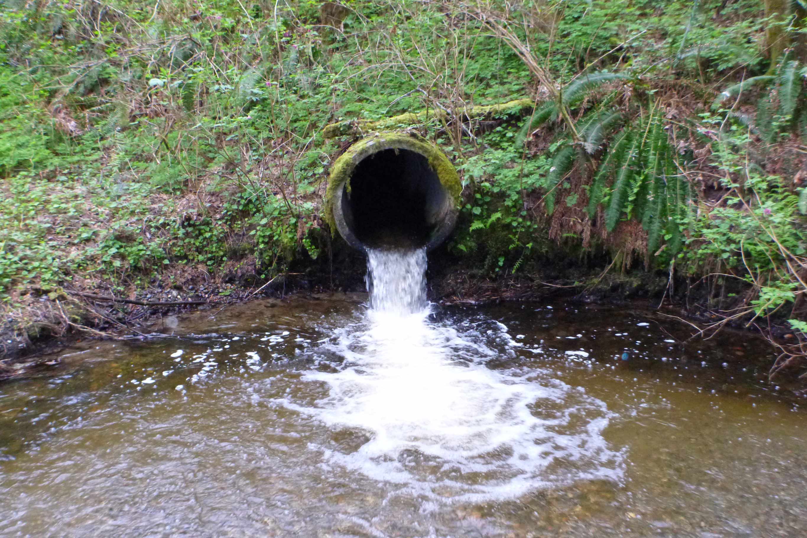 Tulalip Tribes Natural Resources Fish Barrier Removal slider image