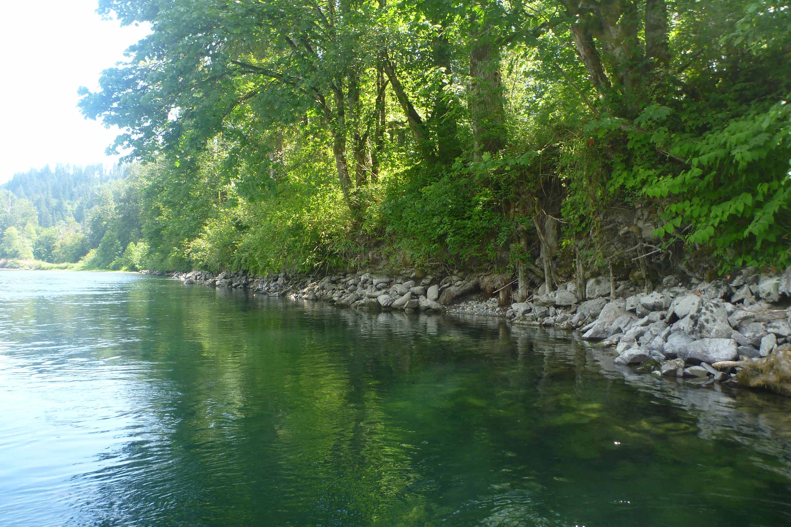 A tranquil and beautiful deep water area, churning slowly, reflecting the canopy of lush green maples and underbrush
