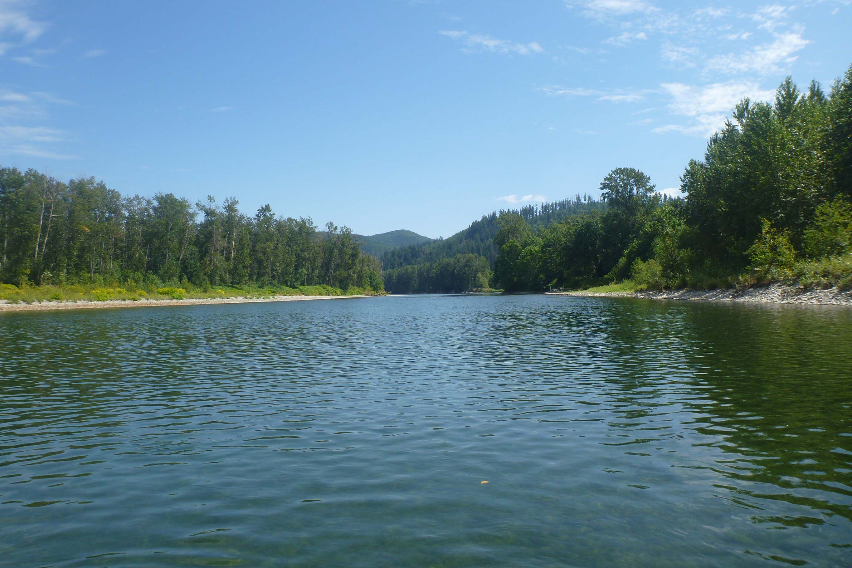 View from a boat on the river lined by wooded banks at the Tualco Valley Connectivity location