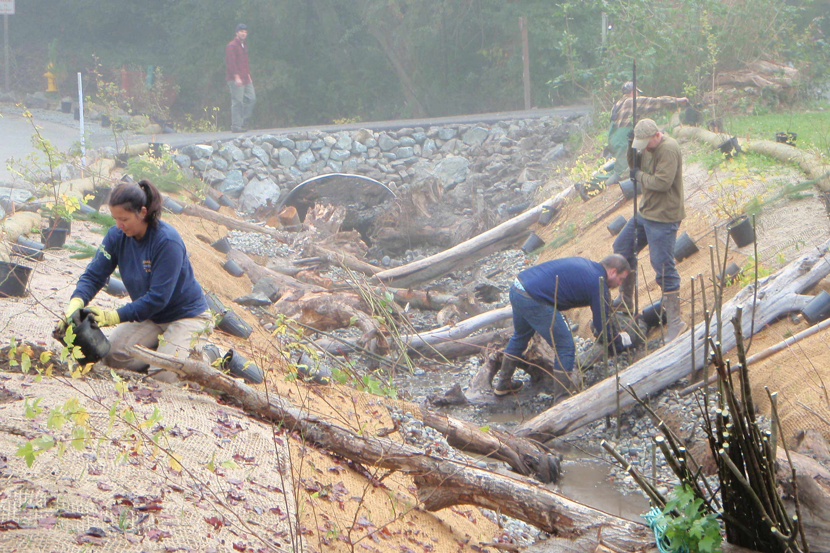 A new bridge sits over a culvert with volunteers planting trees along the terrain of the creek banks