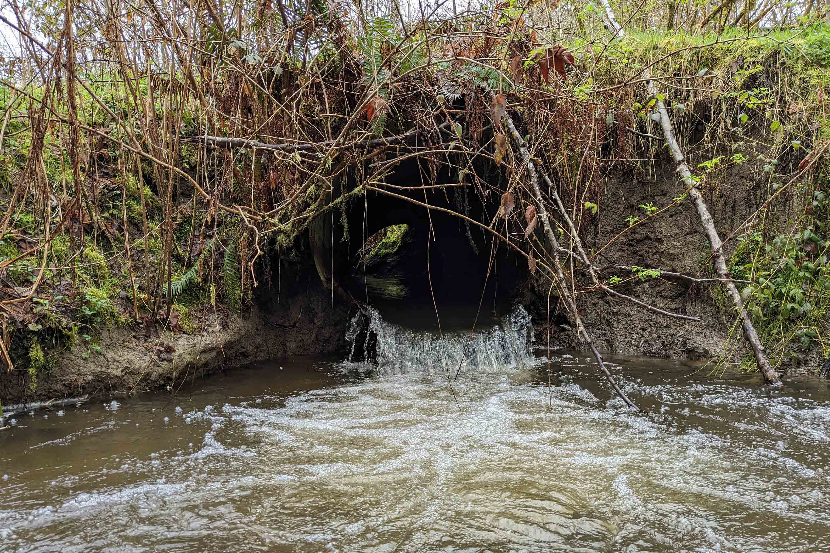 Tulalip Tribes Natural Resources Fish Barrier Removal slider image