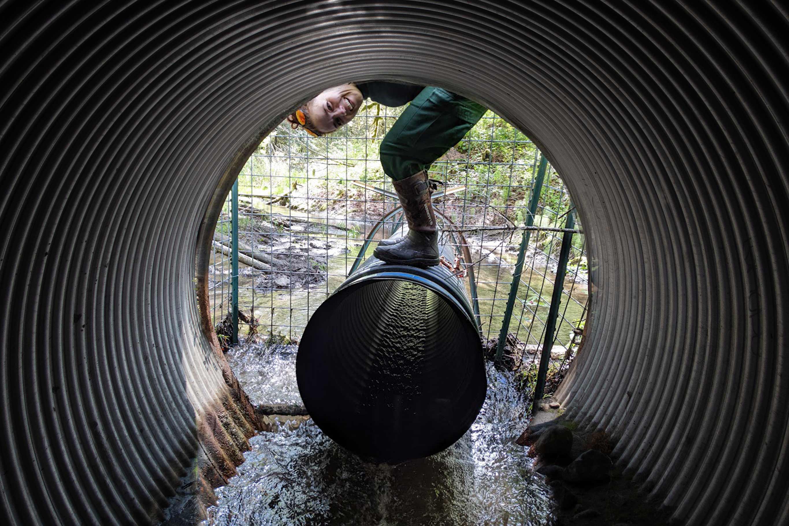 Tulalip Tribes Natural Resources Fish Barrier Removal slider image