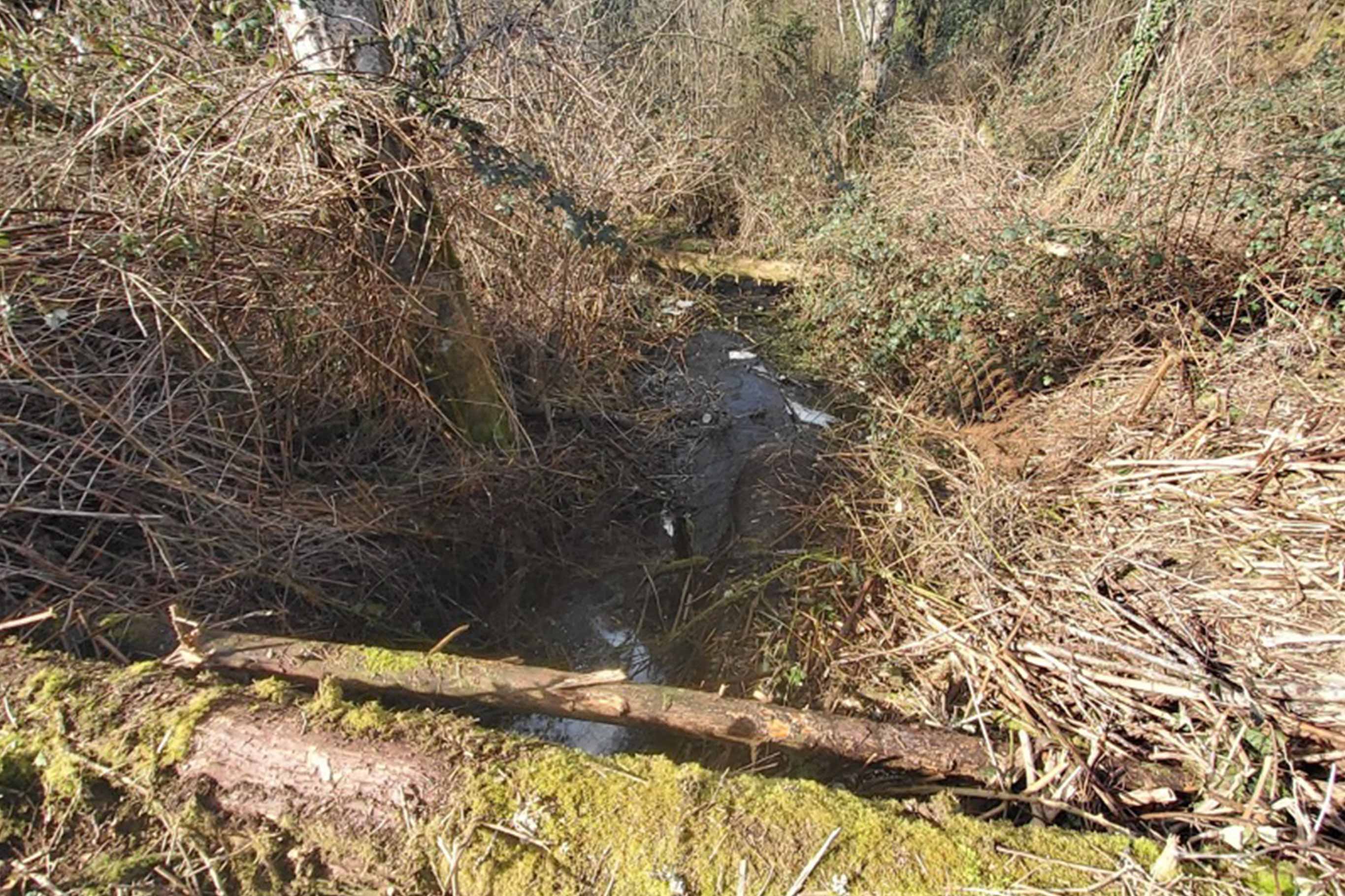 Tulalip Tribes Natural Resources Haberzetle Dam Removal Restoration slider image