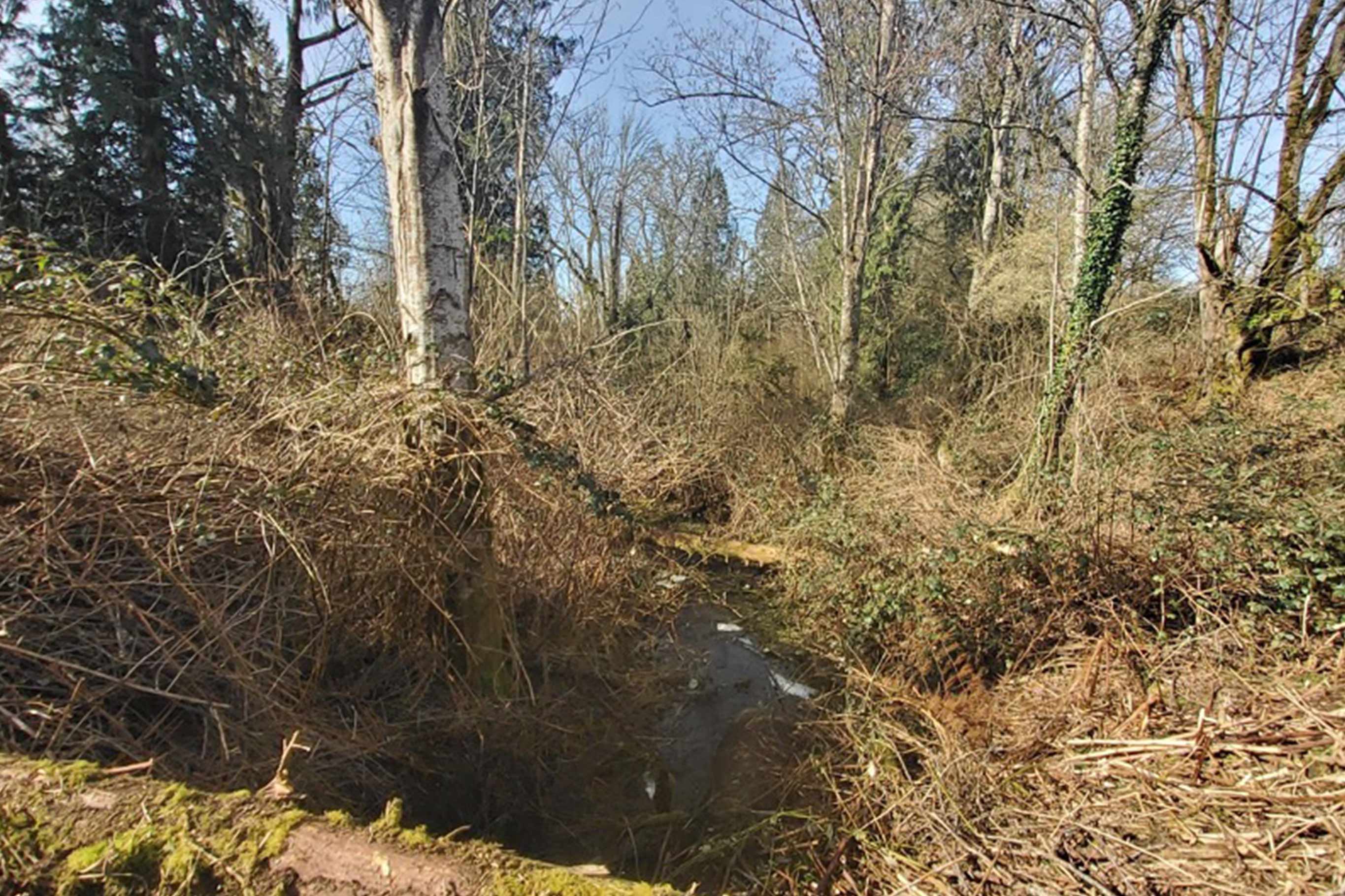 Tulalip Tribes Natural Resources Haberzetle Dam Removal Restoration slider image