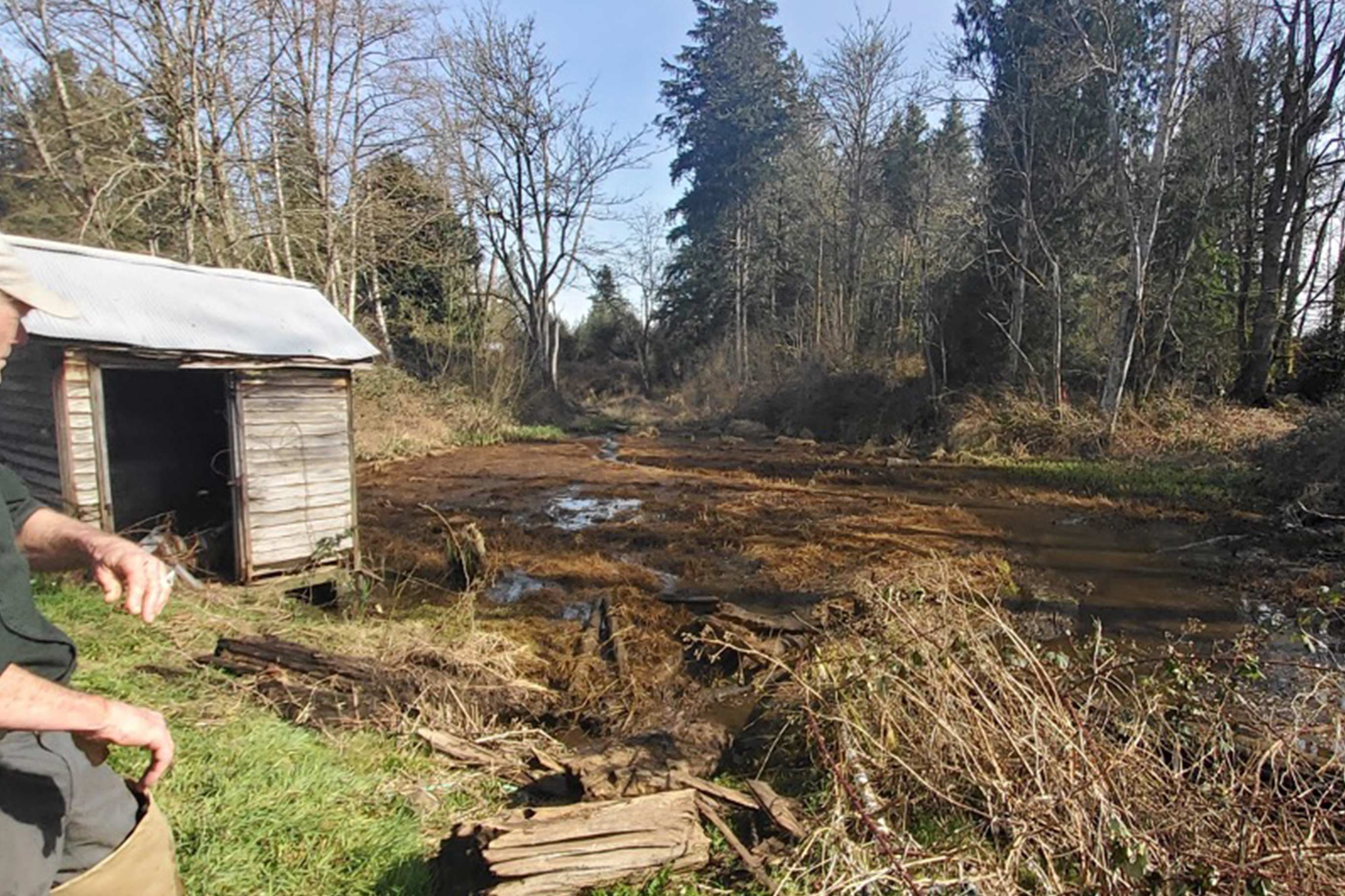 Tulalip Tribes Natural Resources Haberzetle Dam Removal Restoration slider image