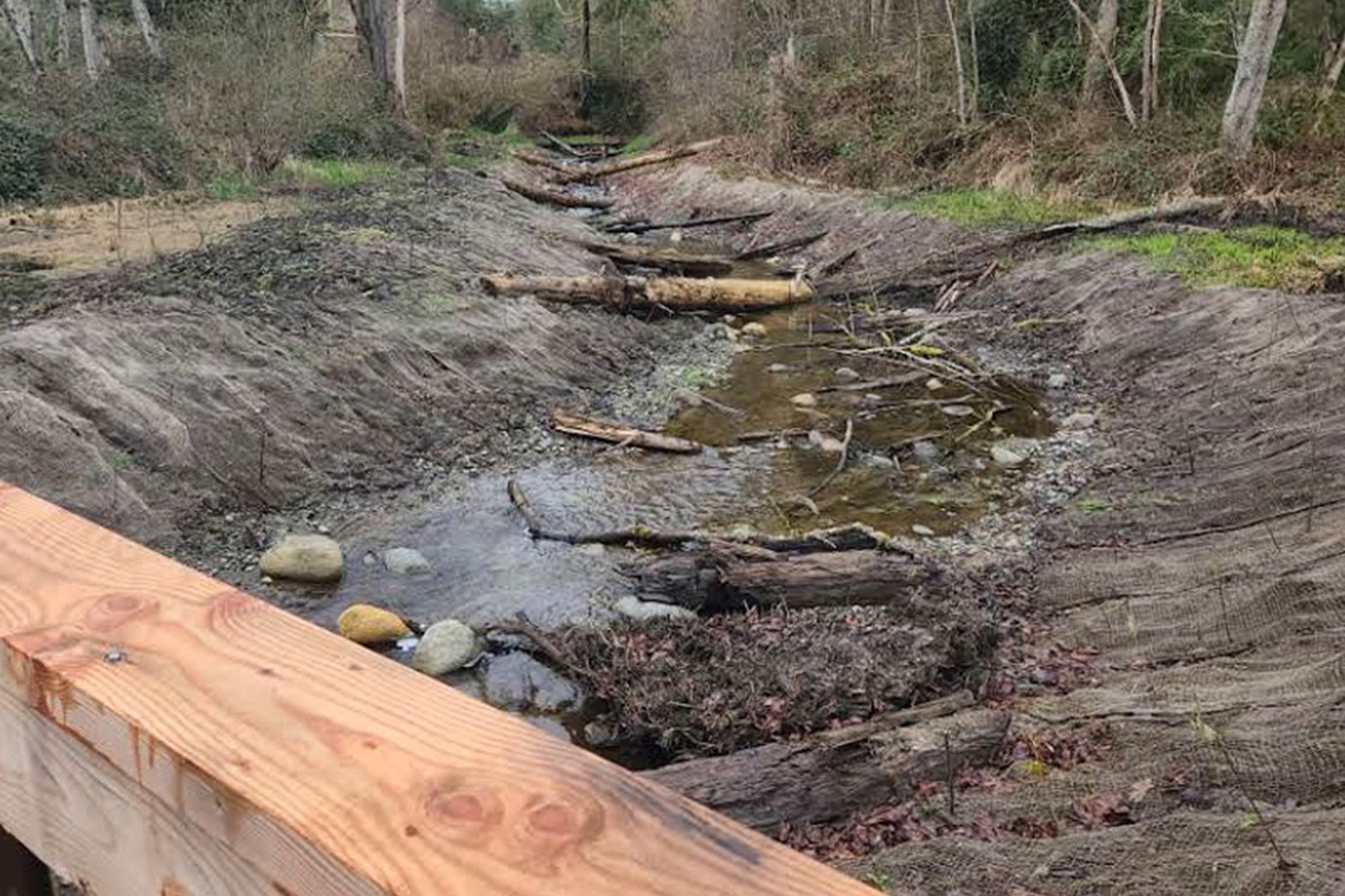 Tulalip Tribes Natural Resources Haberzetle Dam Removal Restoration slider image