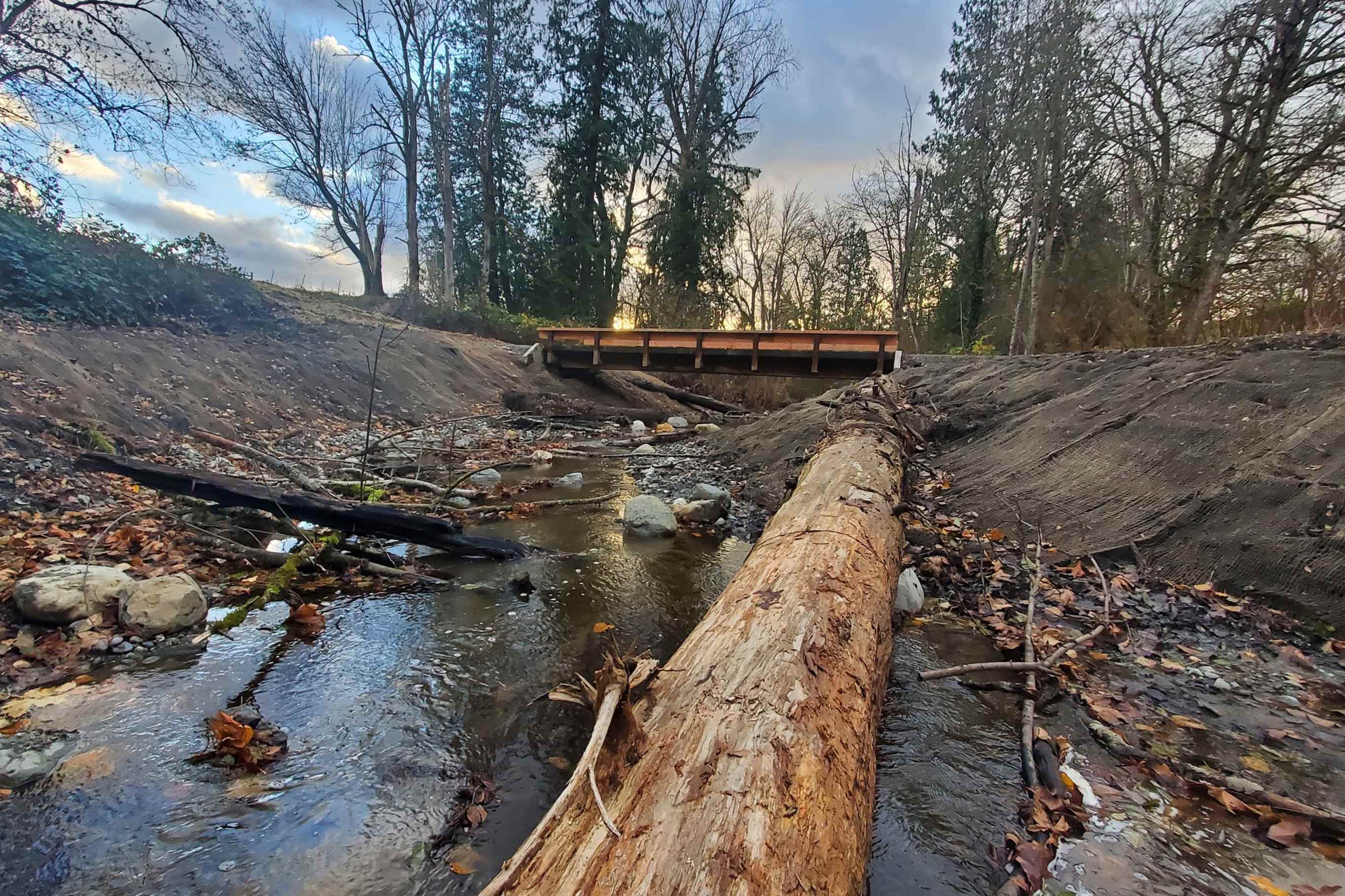 Tulalip Tribes Natural Resources Haberzetle Dam Removal Restoration slider image