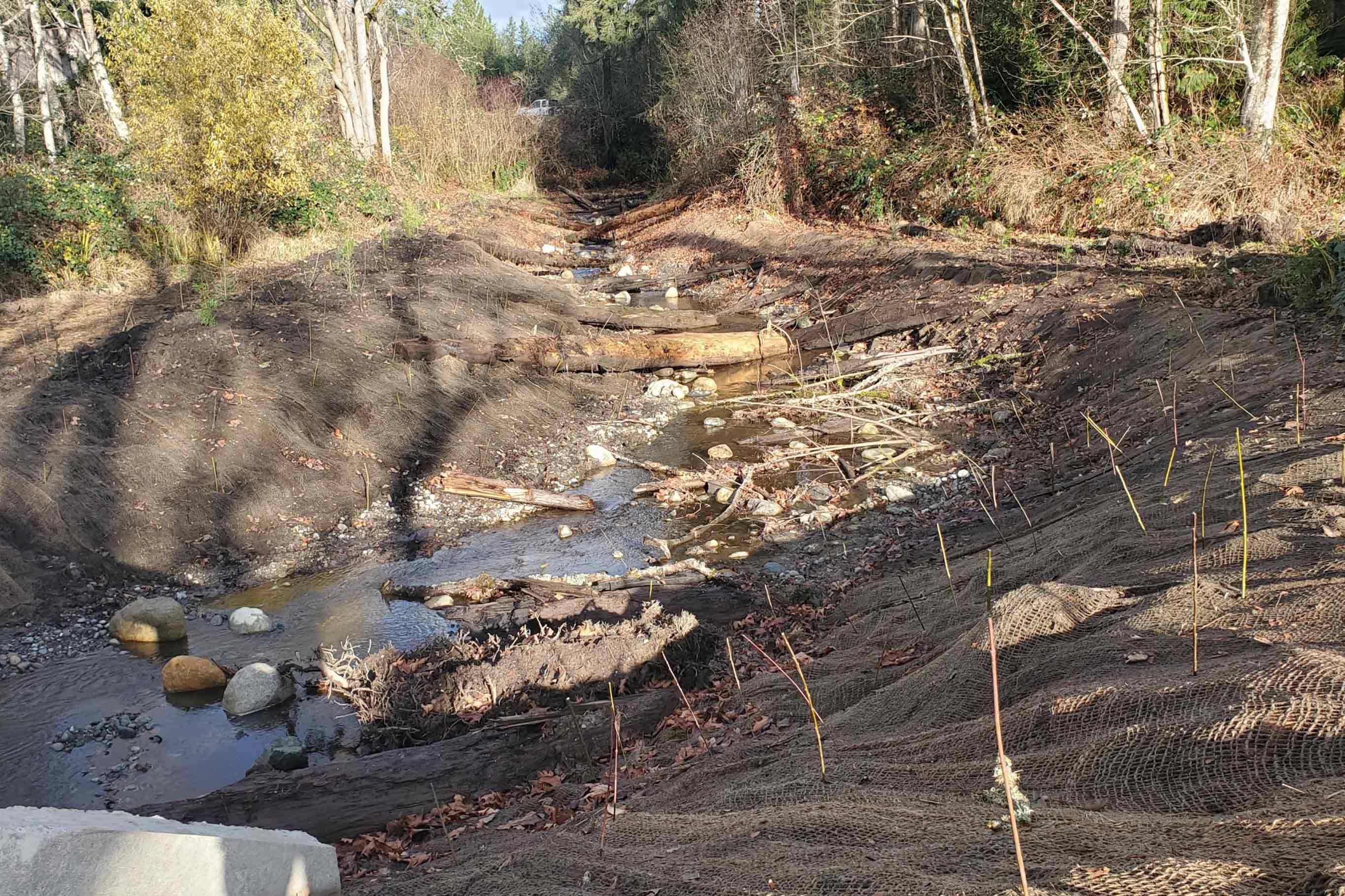 Tulalip Tribes Natural Resources Haberzetle Dam Removal Restoration slider image