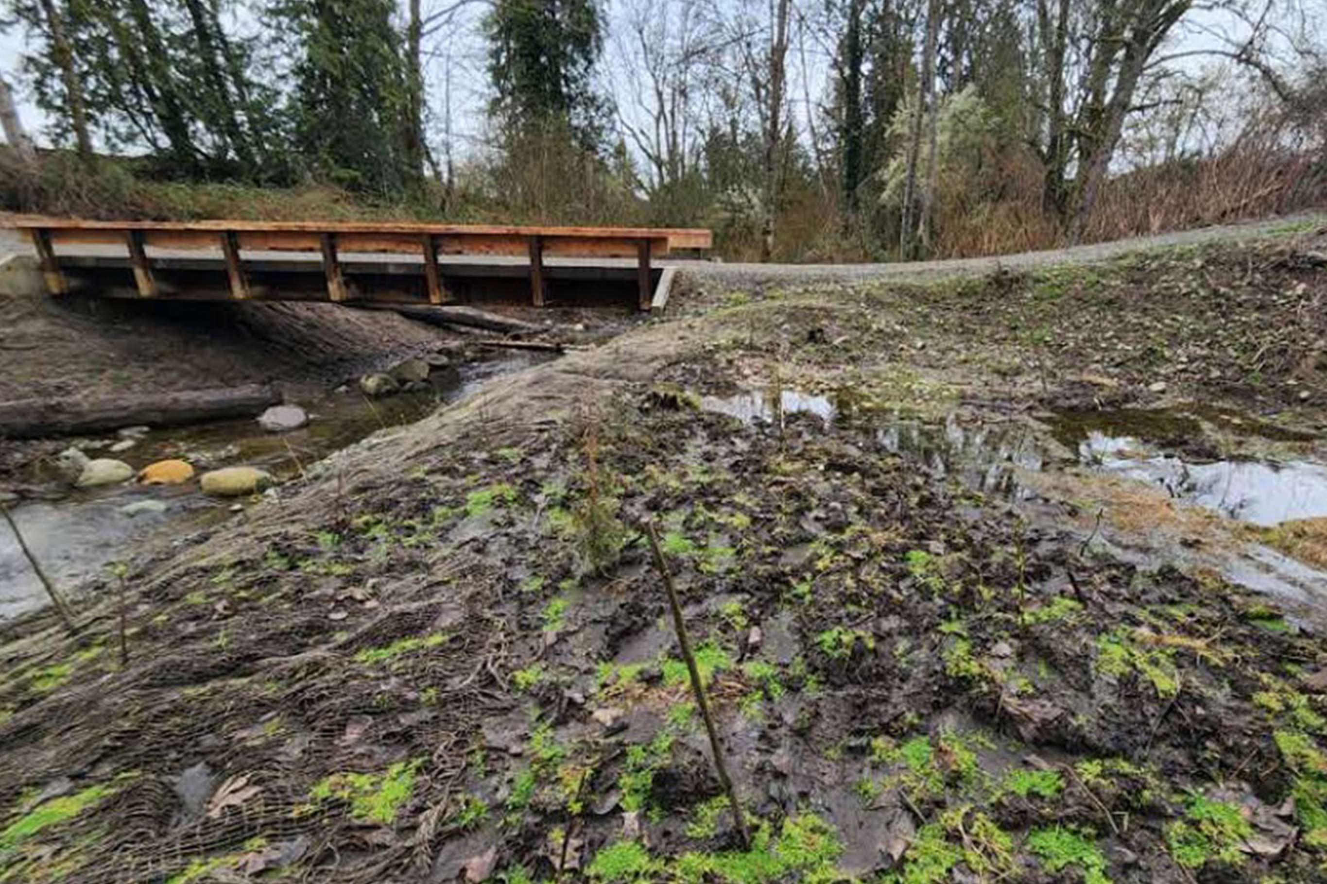 Tulalip Tribes Natural Resources Haberzetle Dam Removal Restoration slider image