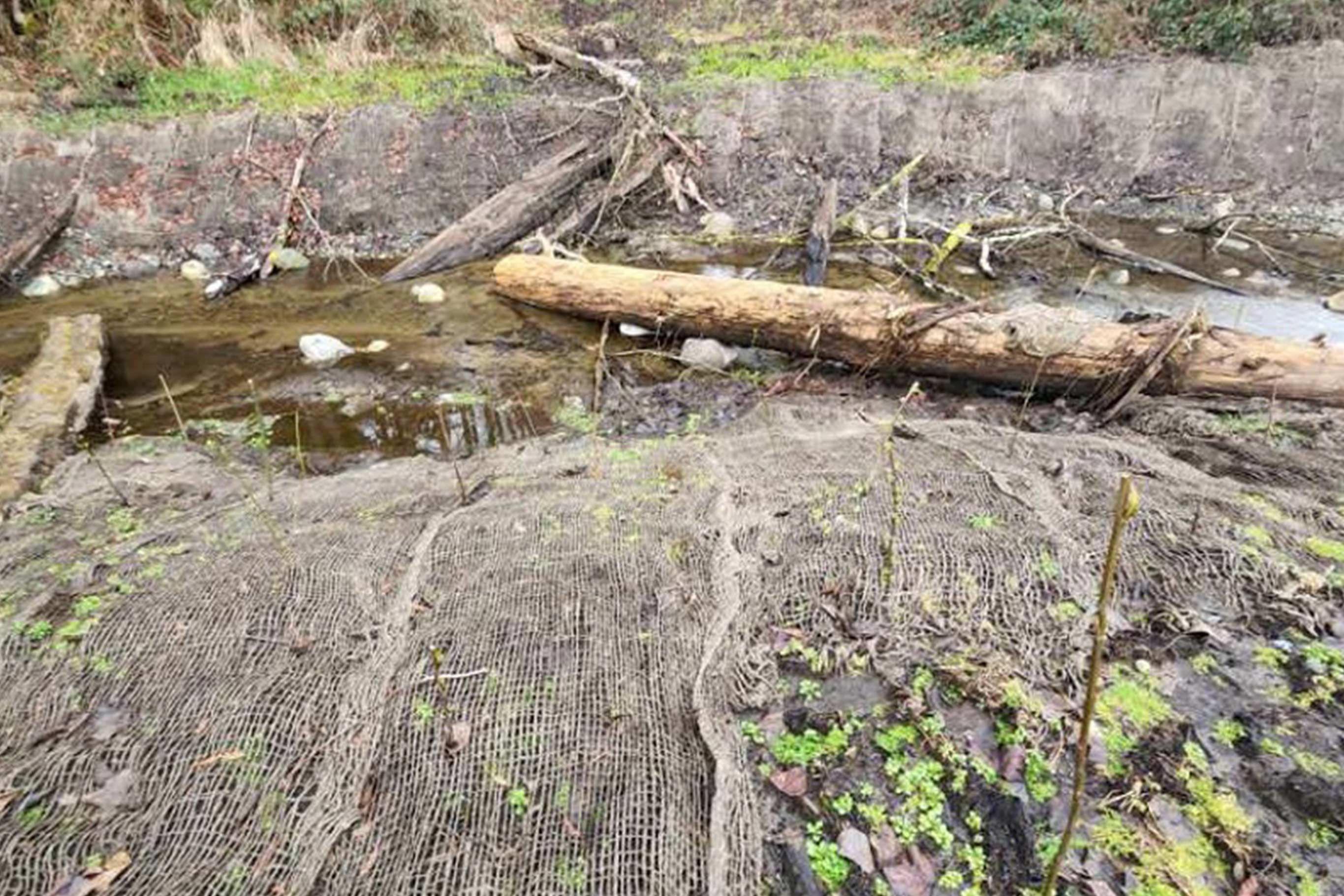 Tulalip Tribes Natural Resources Haberzetle Dam Removal Restoration slider image