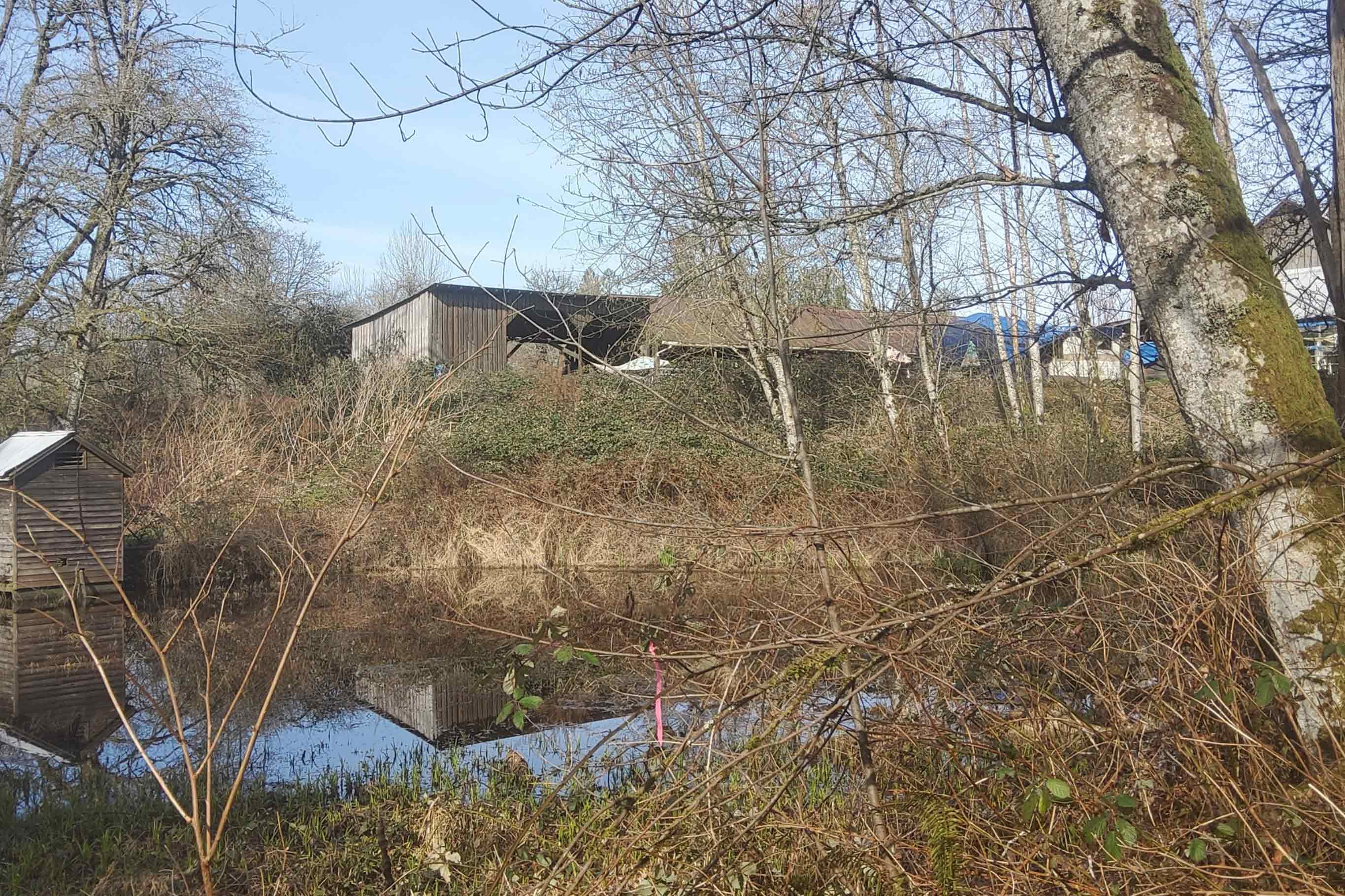 Tulalip Tribes Natural Resources Haberzetle Dam Removal Restoration slider image