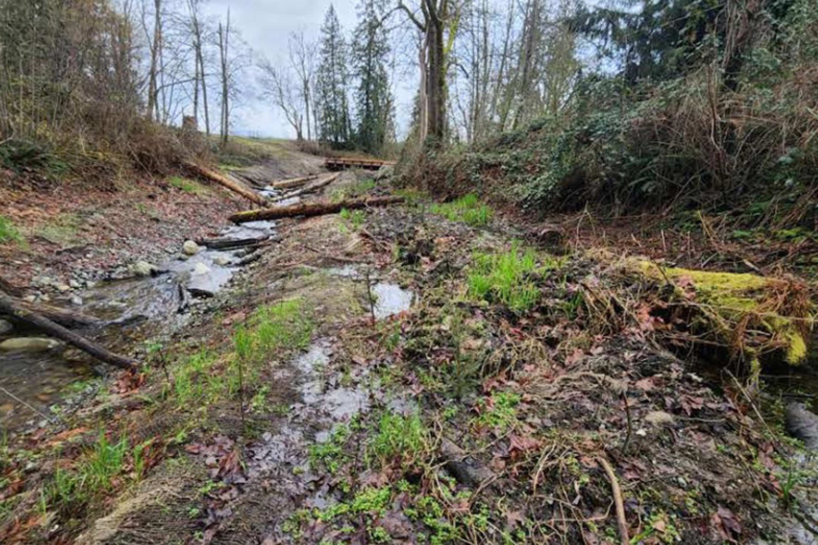 Tulalip Tribes Natural Resources Haberzetle Dam Removal Restoration slider image