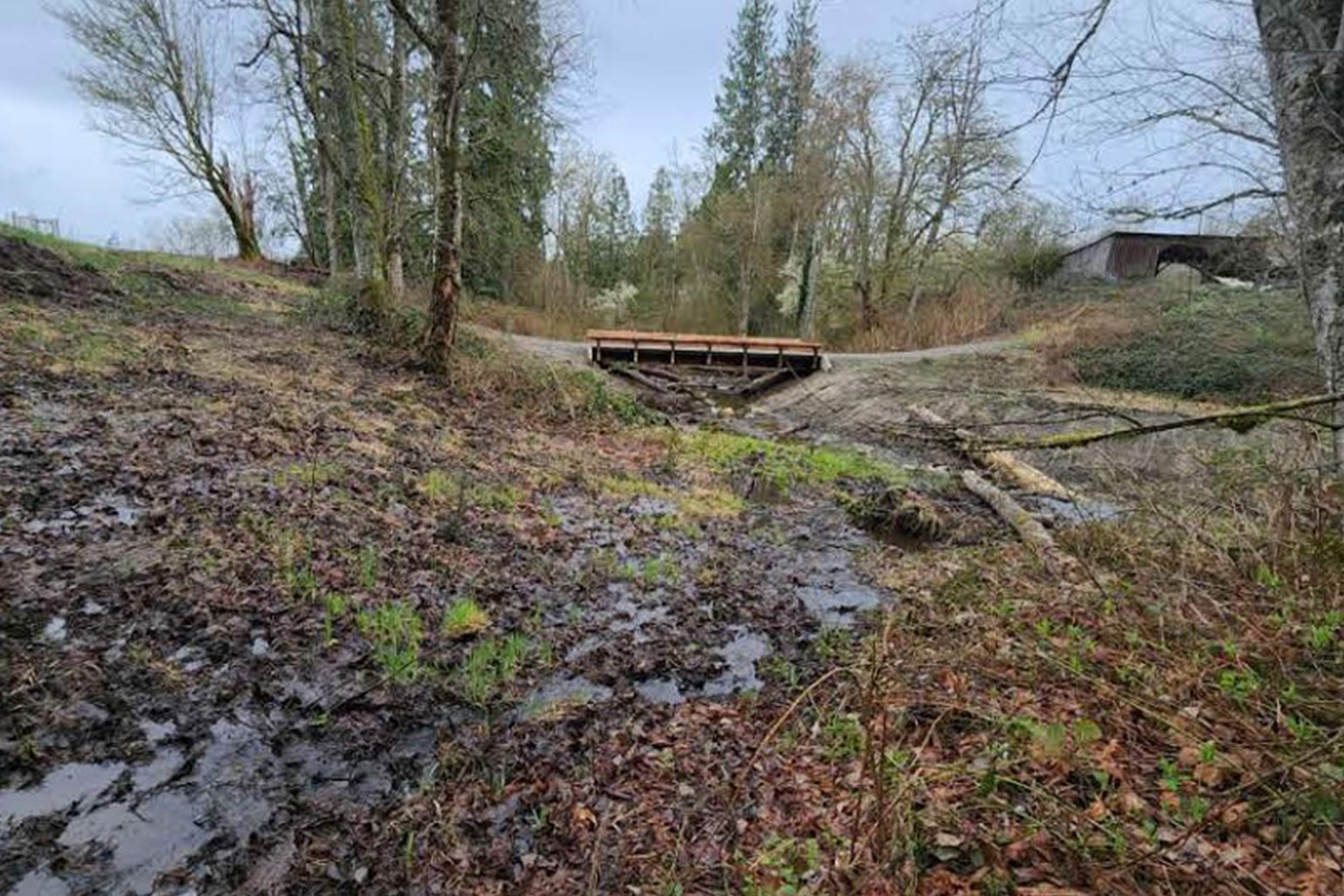 Tulalip Tribes Natural Resources Haberzetle Dam Removal Restoration slider image