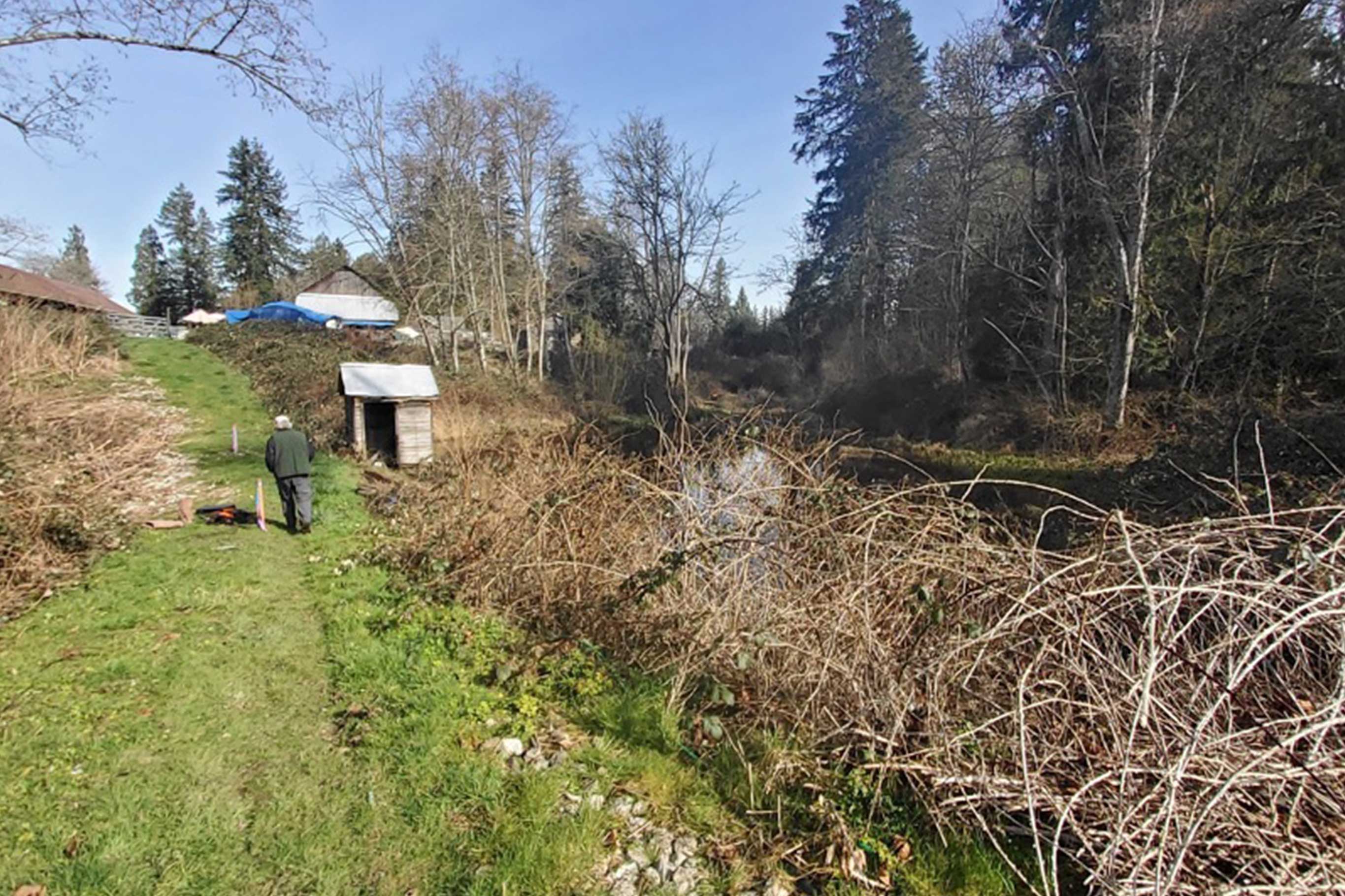 Tulalip Tribes Natural Resources Haberzetle Dam Removal Restoration slider image