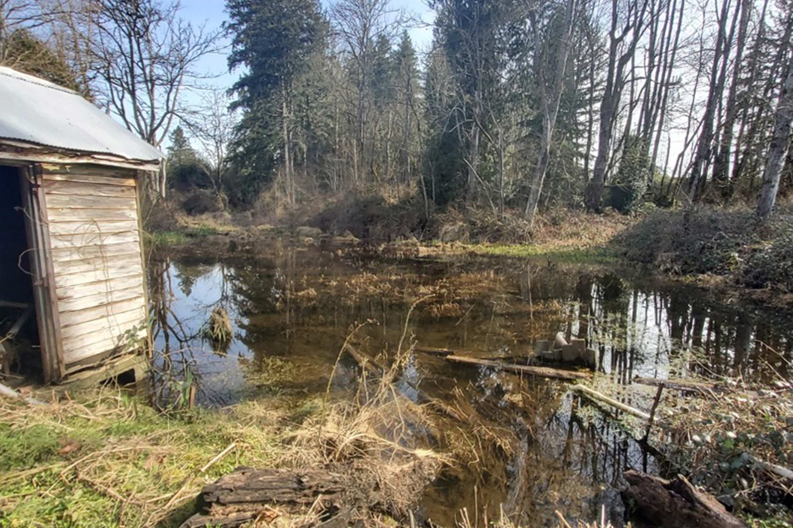 Tulalip Tribes Natural Resources Haberzetle Dam Removal Restoration slider image