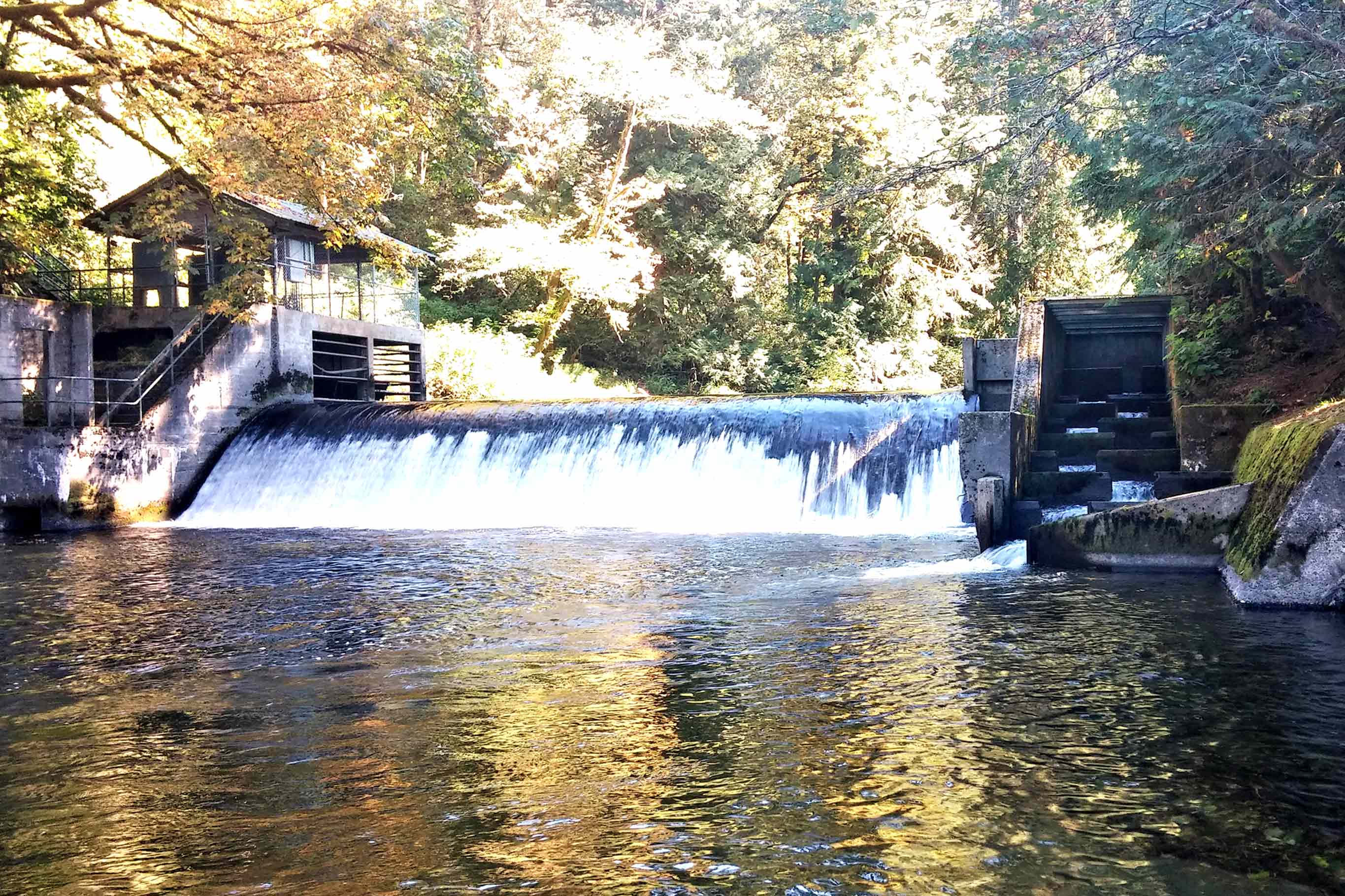 Tulalip Tribes Natural Resources Pilchuck River Dam slider image