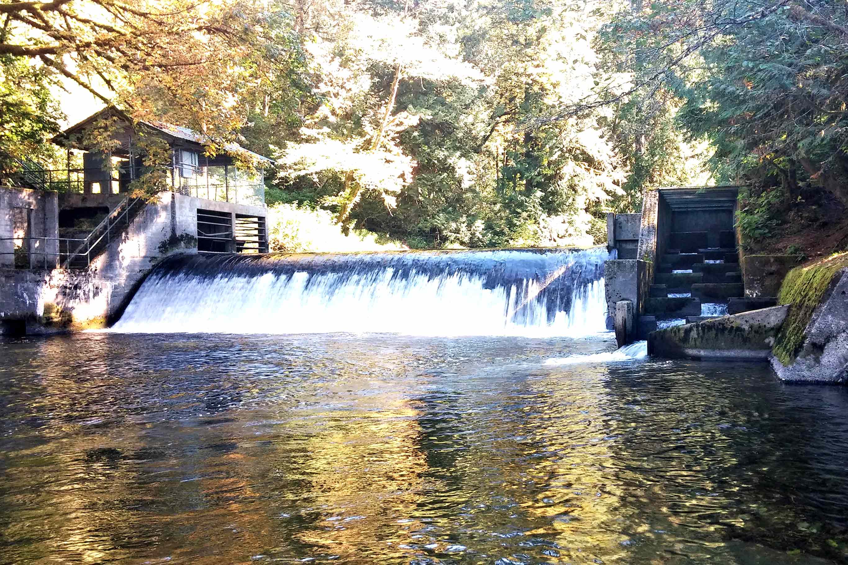 Tulalip Tribes Natural Resources Pilchuck River Dam slider image